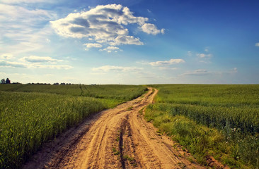 the road passing across the field grain crops