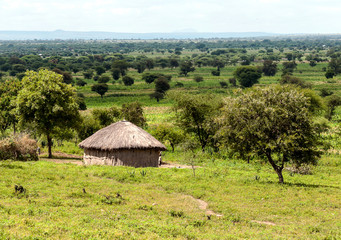 Fototapeta na wymiar Lodge in the savannah of Tanzania