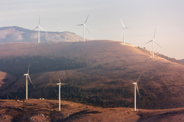 Turbines on field on cloudy blue sky.