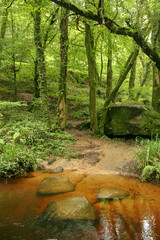 Flowing river in the forest. Huelgoat Brittany France
