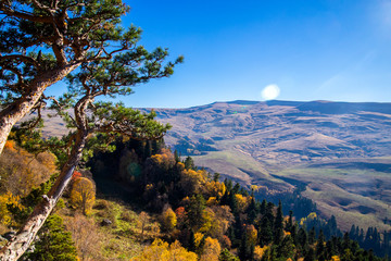 Scenic landscape with trees in mountain forest in autumn