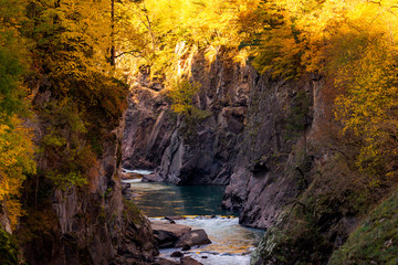 Fall landscape with mountain river and forest