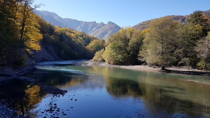 Fall landscape with mountain river and forest