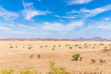 Fototapeta na wymiar Amazing view over a plain field near Twijfelfontein, Damaraland, Namibia.