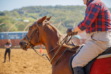 horse riding training
