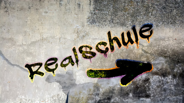 Schild 399 - Realschule