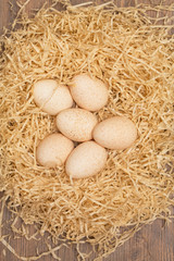 Photo of a group of large turkey spotted eggs