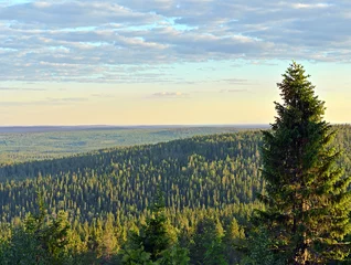 Foto op Canvas Sunset in hills of Finnish Lapland in summer © valeriyap