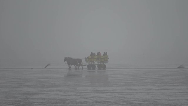 Wattwagenfahrt, Pferdewagen, Kutschenfahrt