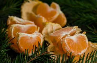 Juicy ripe mandarin and spruce needles. New Year's scenery
