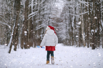 Naklejka premium A winter fairy tale in the forest. 