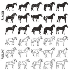 Horse breeds black and outline icons set