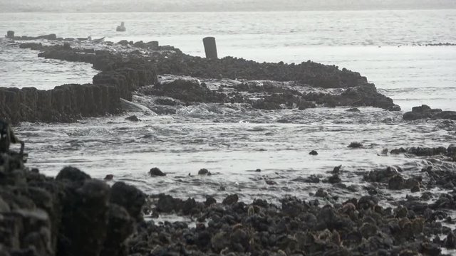 Wattenmeer, Buhne, Gezeiten