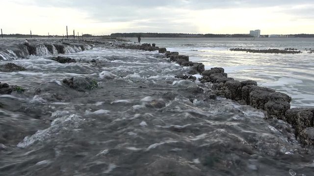 Wattenmeer, Buhne