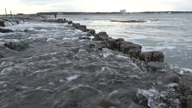 Wattenmeer, Buhne