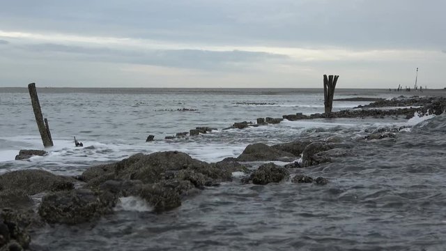 Wattenmeer, Buhne