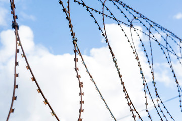 barbed wire against blue sky with clouds
