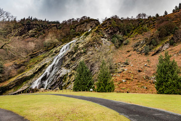 Powerscourt waterfall in forest