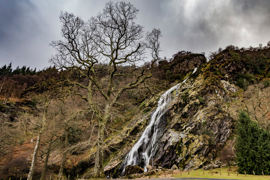 Powerscourt Waterfall In Forest