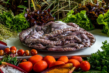 Pieuvre ou poulpe
Pieuvre ou zourite à l'île de la Réunion