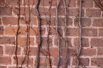 texture of stone wall