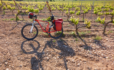 Camino de Santiago in bicycle Saint James