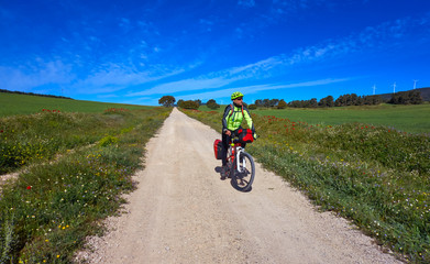 Fototapeta premium Biker by Camino de Santiago in bicycle