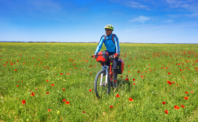 Biker by Camino de Santiago in bicycle