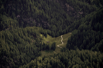 Domek © Witold