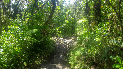 Guadeloupe - between sea and ocean