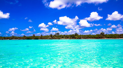 Fototapeta na wymiar Karibik mit strahlendem blauen Himmel und türkisem Meer in Yucatan, Mexiko