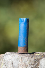 Blue old cartridge of a shotgun in a natural environment