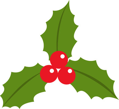 Holly berry leaves christmas icon flat vector illustration isolated on white