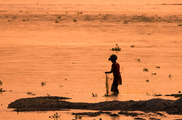 Fototapeta na wymiar Asian Woman fishing in the river, silhouette at sunset