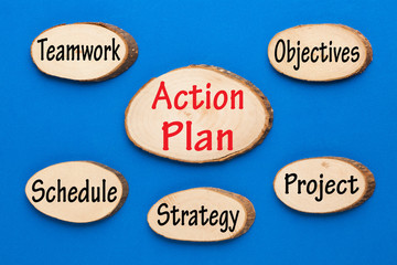 Action Plan Concept