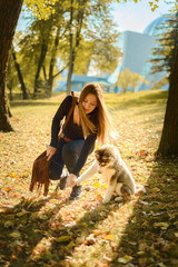 young beautiful brown haired girl is training puppy of husky