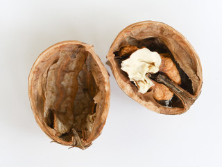 Reaching to the kernel of a walnut