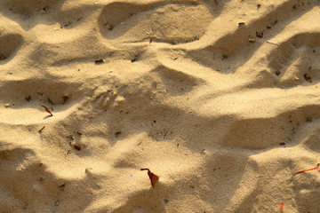 Fototapeta na wymiar Footprints on a sandy ocean beach.