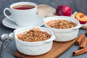 Plum crumble pie or plum crisp with oats and spices, in baking dish, horizontal