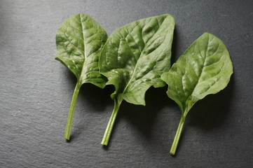 Spinat,eaf, green, plant, isolated, nature, fresh, food, leaves, white, vegetable, organic, mint,...