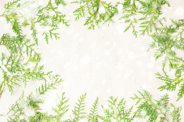 Fototapeta na wymiar Green thuja tree branches with snow frame on beige rustic background.