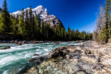 Cataract Brook with Popes Peak in the background, Yoho National Park, British Columbia, Canada