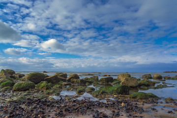 baltic sea coastline landscape nature scene horizon