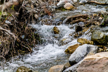 mountains and gloomy skies along with falls, rapids, flowing rivers and trips through the bush highlight any trip to Waterton Lakes National Park