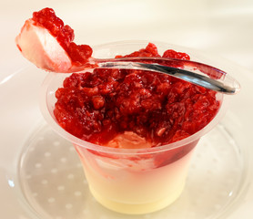 RASPBERRY PANNA COTTA