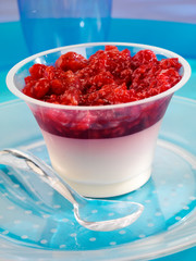 RASPBERRY PANNA COTTA