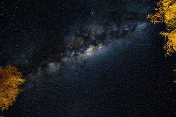 milkyway trees diagonal landscape universe stars night