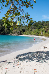 Wunderschöner einsamer Strand im Nationalpark Manuel Antonio in Costa Rica mit Palmen und Bäumen