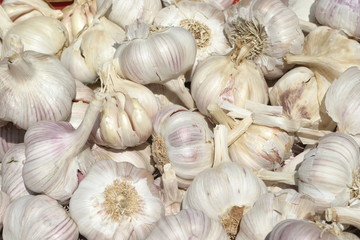 Knoblauch