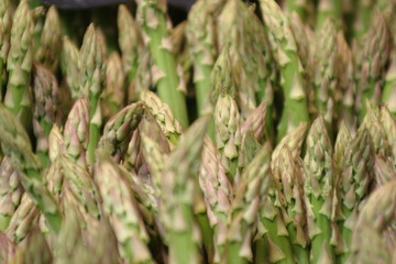 Spargel